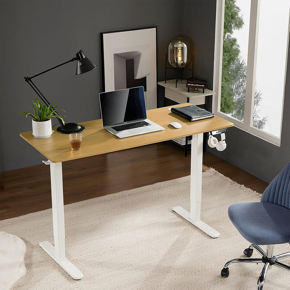 Electric Standing Desk 55"x24" with Height Memory & Hooks, White